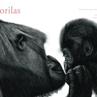 CONTAR LEONES - Imagen 2