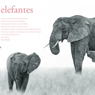 CONTAR LEONES - Imagen 3