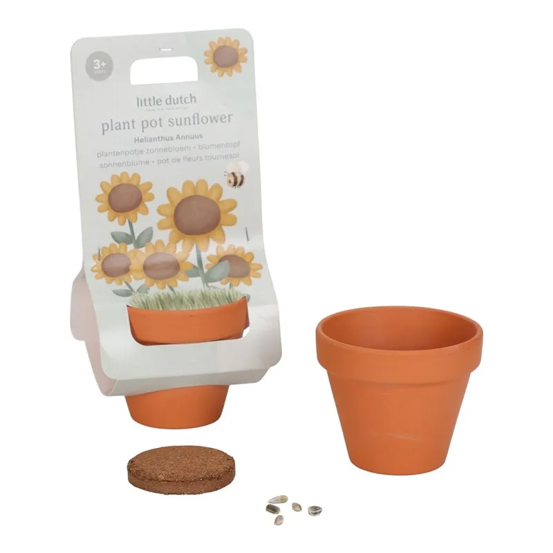 Maceta Planta Girasol Little Dutch - Imagen 2