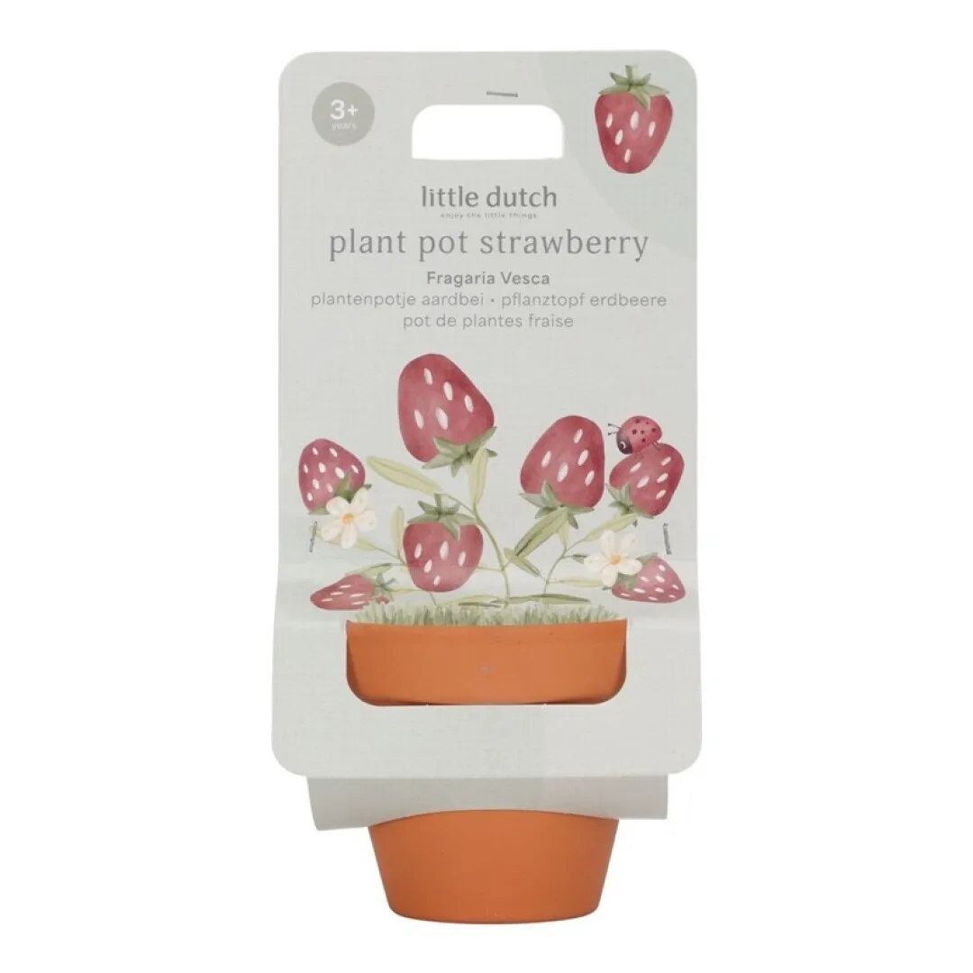 Maceta Planta de Fresas Little Dutch