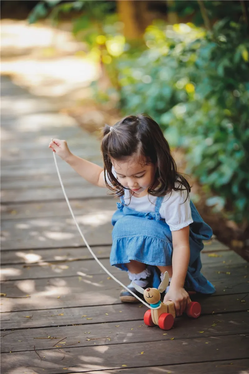 Cachorro Feliz Arrastre Plantoys - Imagen 4