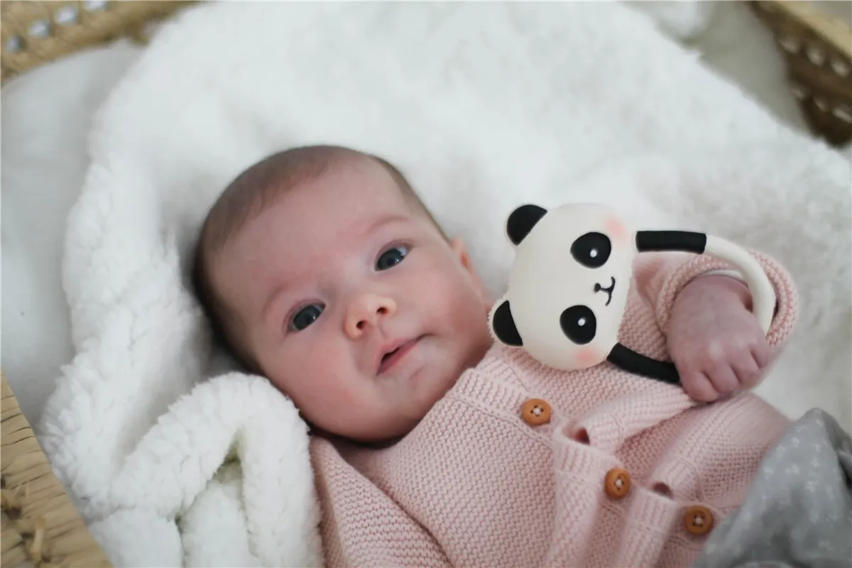 Kori el Panda Lanco - Imagen 4