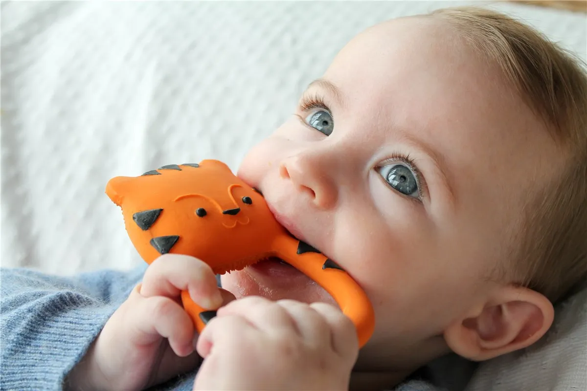 Nalu the Tiger Lanco - Imagen 3