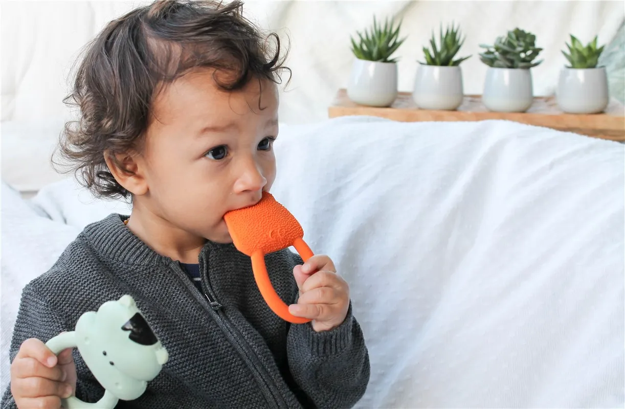 Nalu the Tiger Lanco - Imagen 4