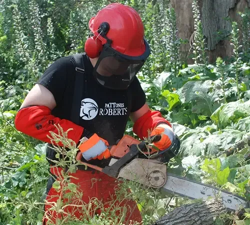 Manguitos anticorte motosierra Pattones Robert`s - Imagen 5