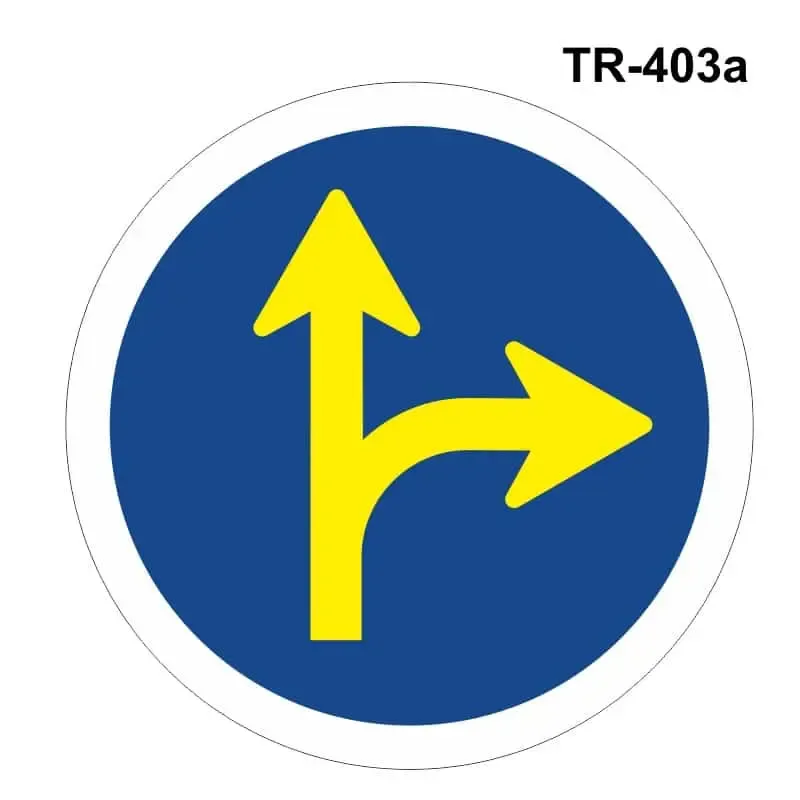 Obra: Unicas direcciones y sentidos permitidos ( TR-403a )