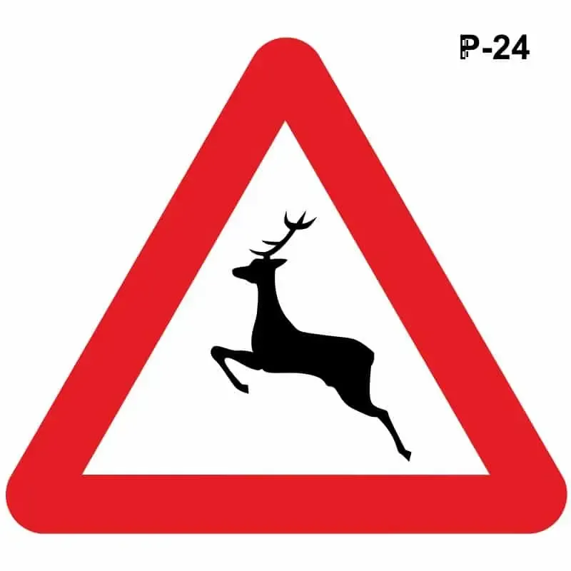 Paso de animales en libertad – ( P-24 )