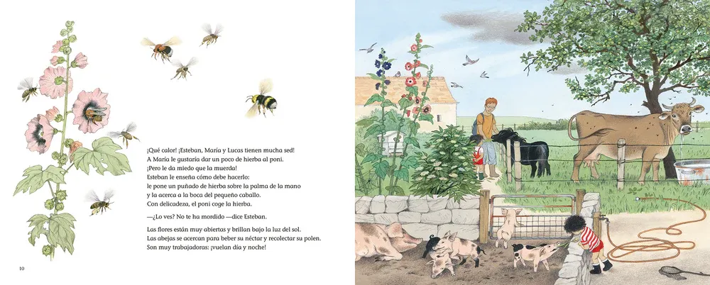 ¿DÓNDE VAN CUANDO LLUEVE? - Imagen 2