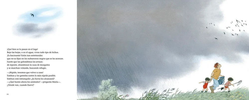 ¿DÓNDE VAN CUANDO LLUEVE? - Imagen 3