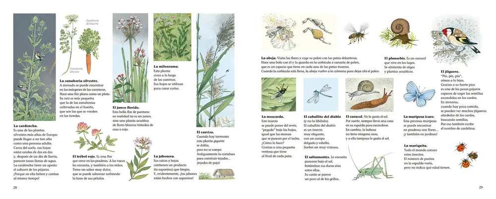 ¿DÓNDE VAN CUANDO LLUEVE? - Imagen 4