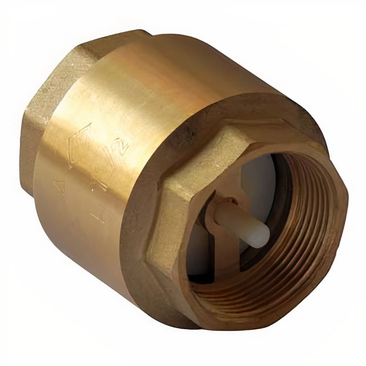 Válvula Retención Chapaleta (Vaivén) 2 Pulgadas Taumm