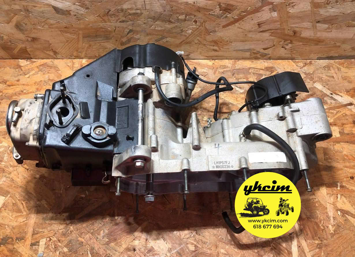 Motor Ref. 150LIN52 - Imagen 3